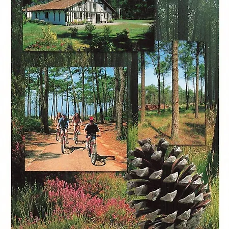 Airial Landais Mimizan